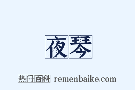 夜琴是什么意思的图片